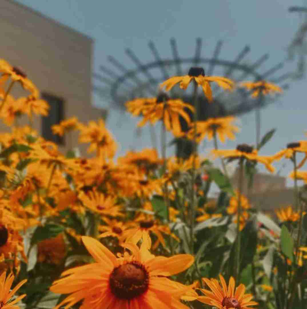  پسر مبارک باشه آره امروزه روز تو با صدای دختر