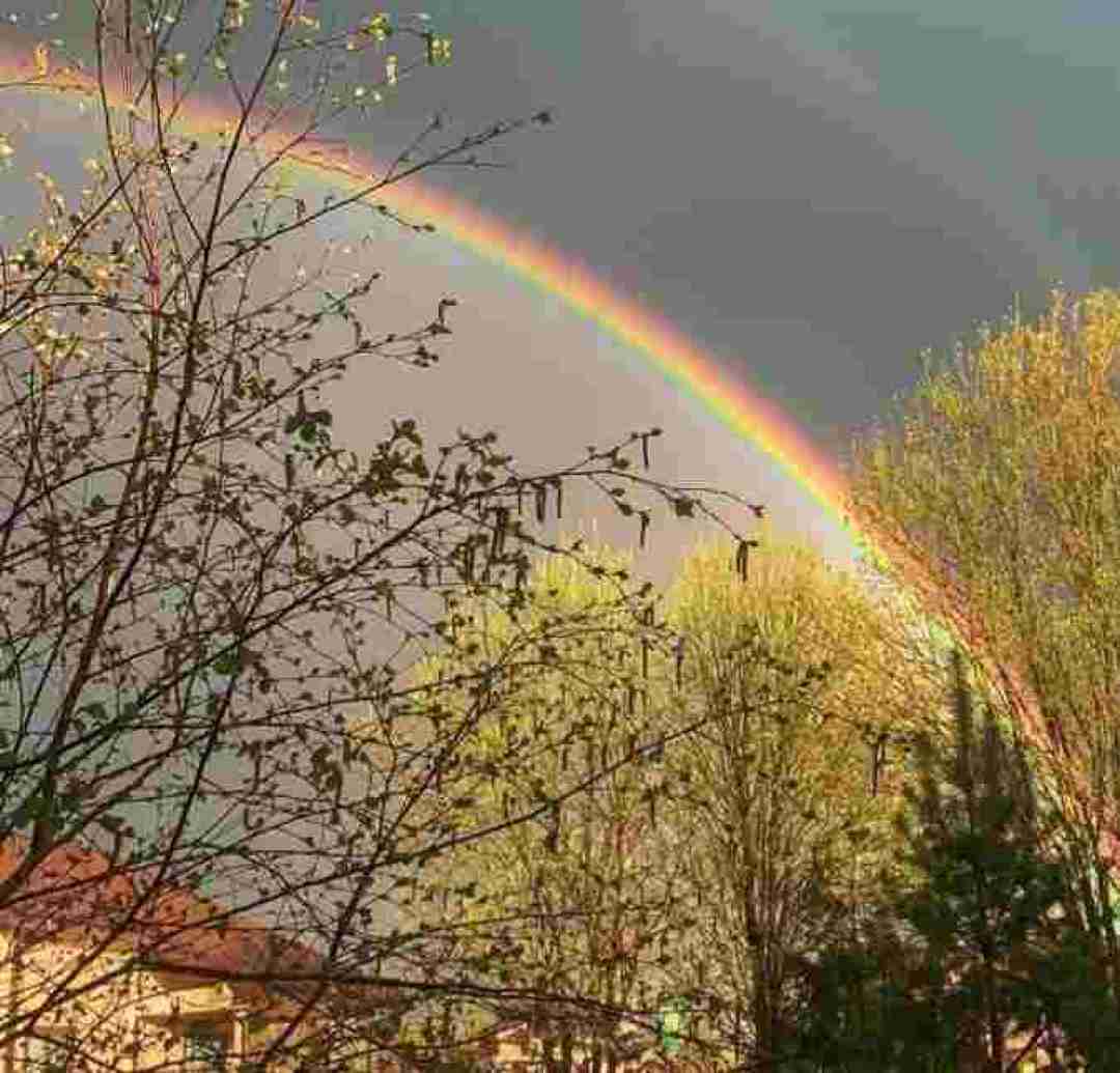  تو حرفمو نمیفهمی اگه بفهمی برات بهتره با صدای دختر