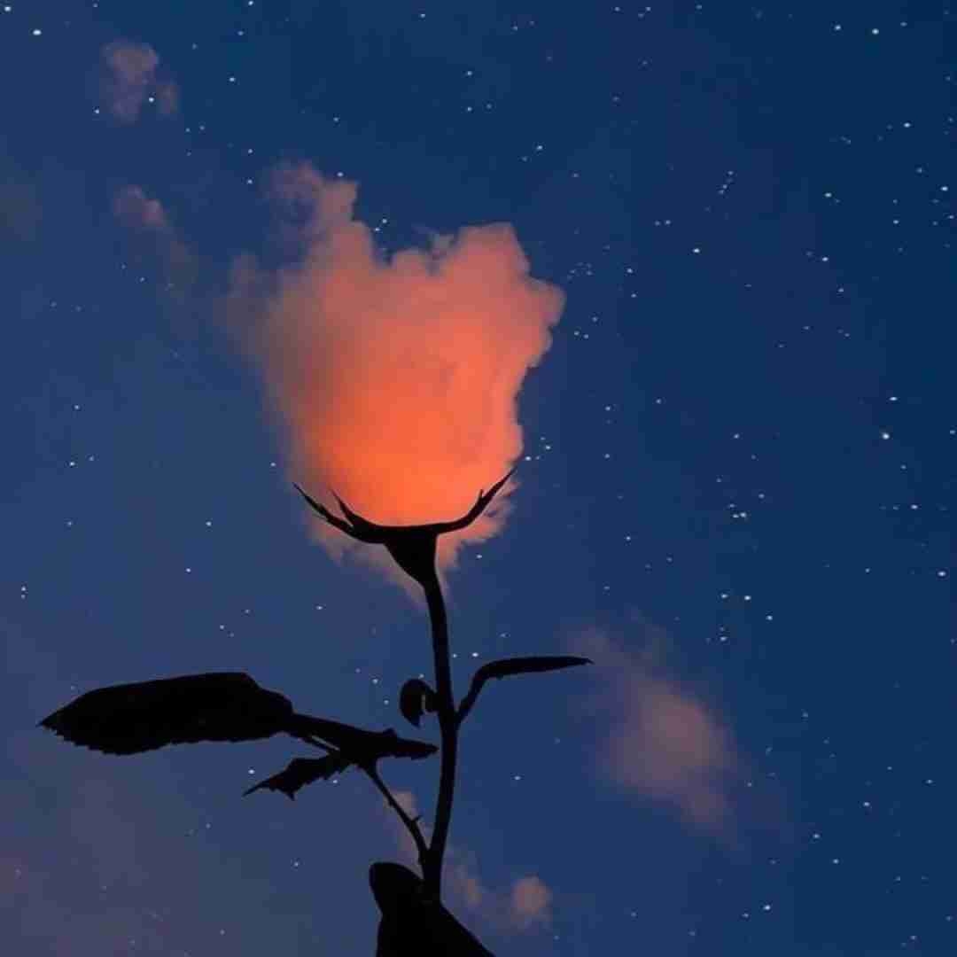  سکوتم را به باران هدیه کردم با صدای پسر اینستایی