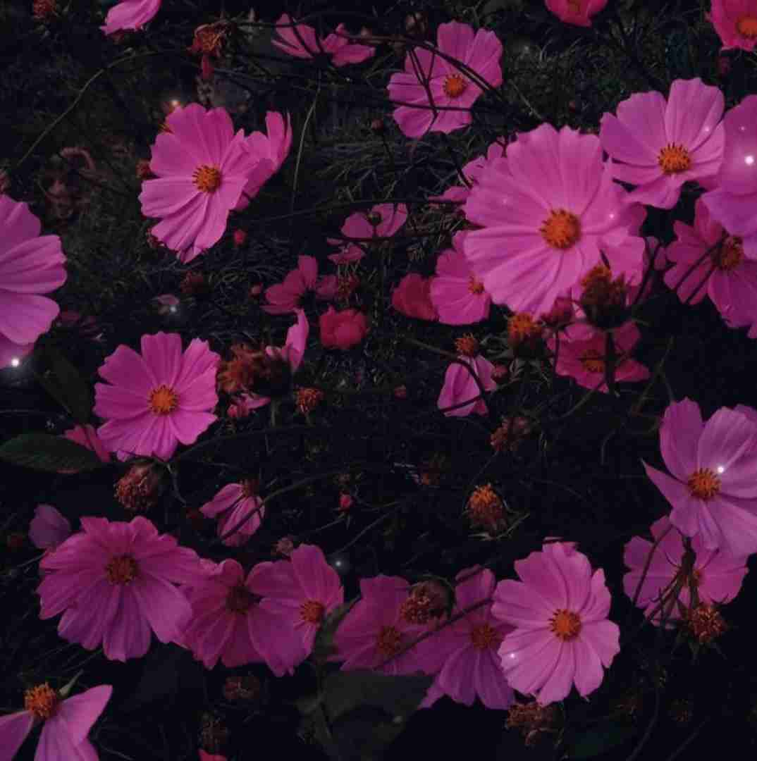  پرپر کردم گل باغ غرورم را با صدای پسر اینستایی
