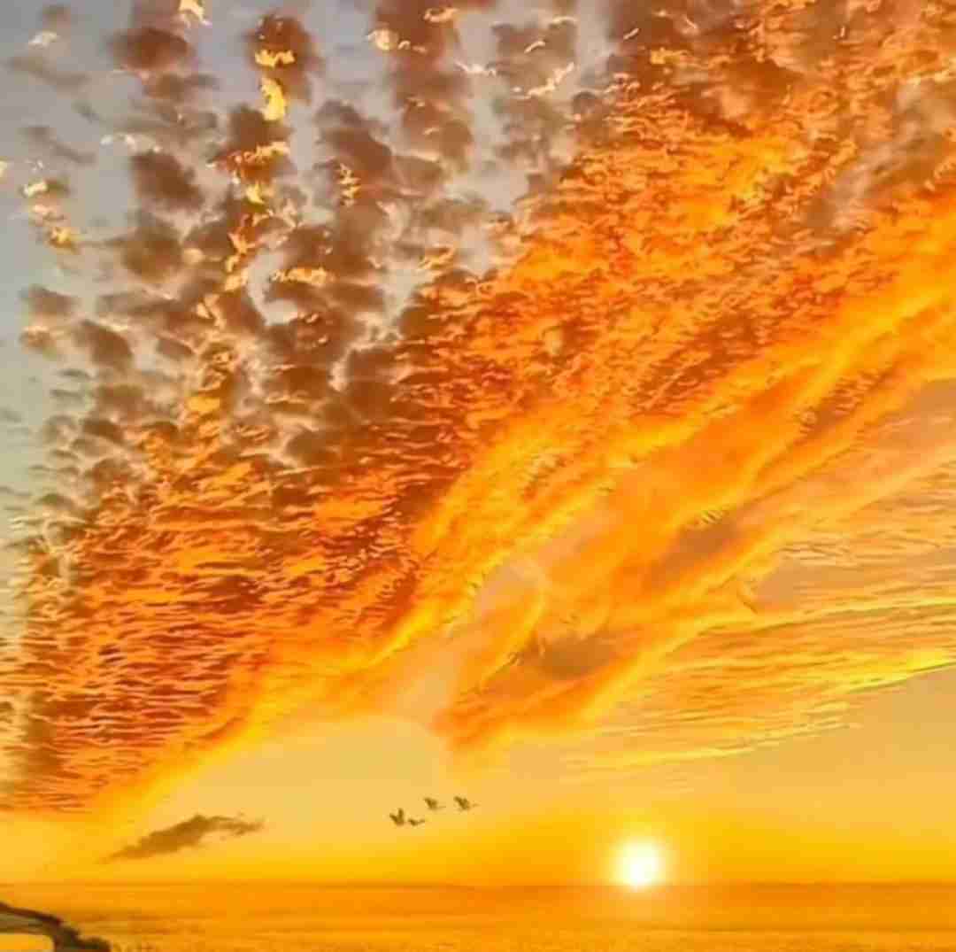  بچه اومده سلام بچم اومده سلام بابایی