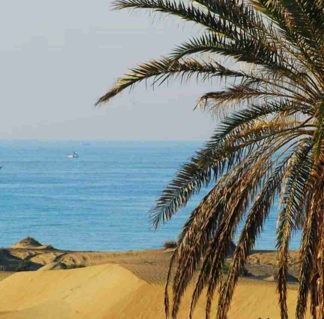  شیراز با کی مست دیدنت نیشانتاشی مست دیدنت
