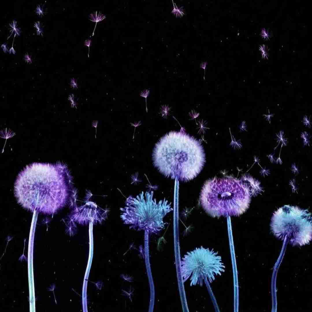  من هنوزم شب دلتنگی به یاد تو میفتم با صدای زن