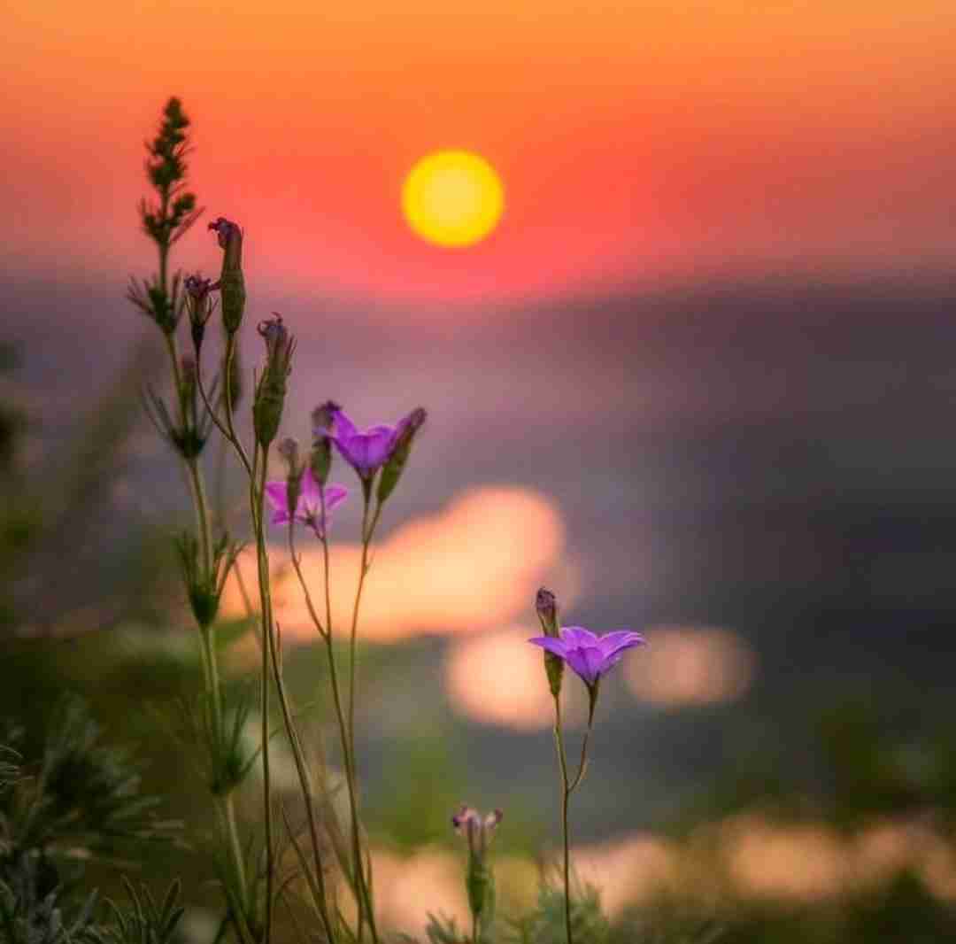  جونم من میدم برات اگه میخوای با صدای پسر