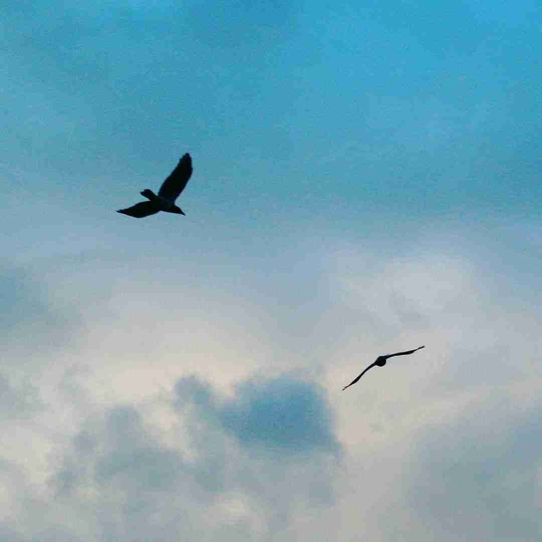  پاش سرباز مثل رگبار کلمه میاد – اینستایی