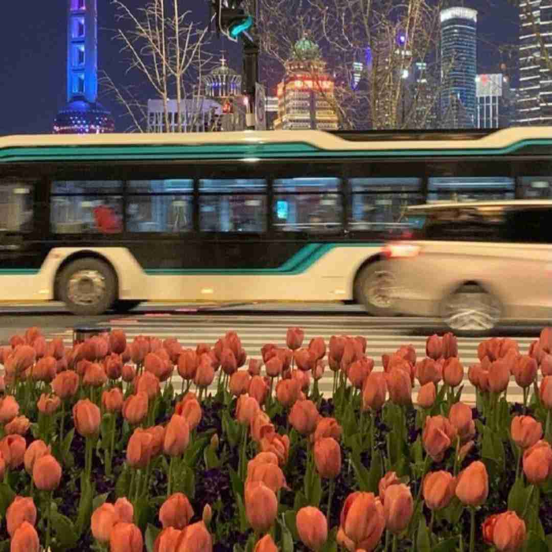 نامه ای به کبد به نام خدا کبدم سلام