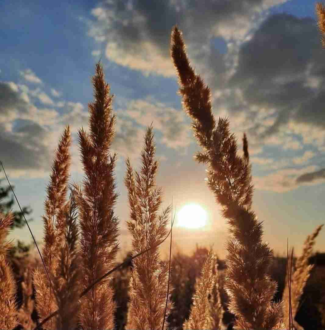  دغدغش دغدغم بود خنده اش قهقهم بود