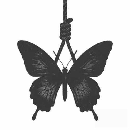 هیپهاپولوژیست بارون پیمود