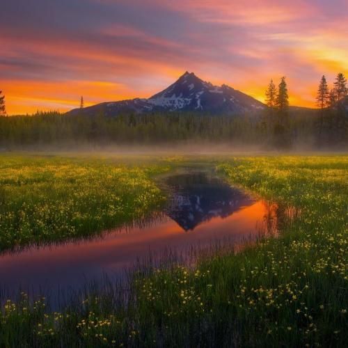 دانلود آهنگ بیبی کیو چی میخواد بیاد بین ما دوتا