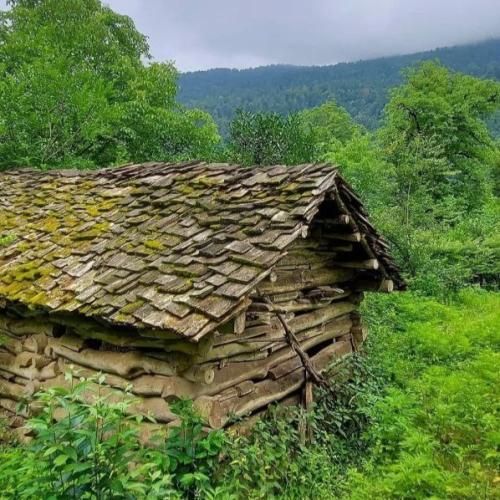 دانلود آهنگ میگن مستی و راستی هرز در اومد هر چی و کاشتیم