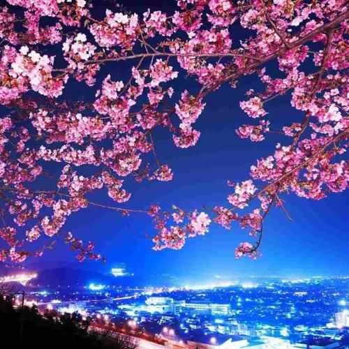 دانلود آهنگ الان بیکار شل و ول من تو بالکنم پس پاک میکنم