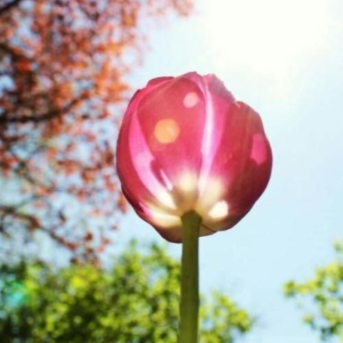 دانلود آهنگ ورساچی سته مشکی آبی دیلرمم ترکیه‌ س مرسی آبی