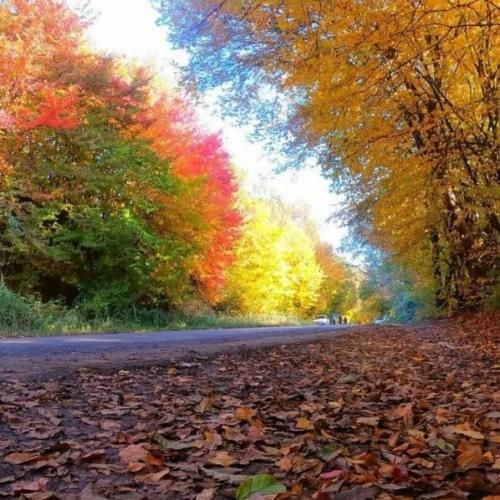 دانلود آهنگ واژه ها رو نمیگیرم نادیده حاجی باید کلاس بیای پیشم