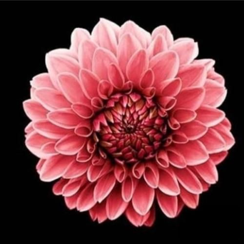 دانلود آهنگ یه جا که آسمونش ستاره کم نداره