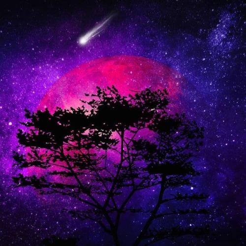 میاره سفید سیاه روشن میگه کینگی مثل لبرون جیمز