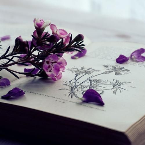 دانلود آهنگ بد زدی حسامو دور حرص میخورم امسالو کلشو