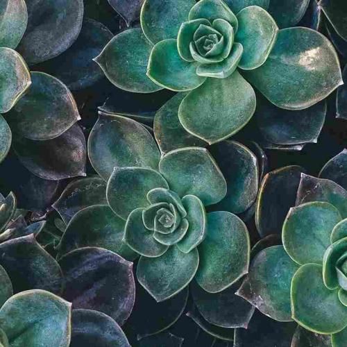 سخته واقعا دروغه بگم رفته یادم با صدای زن