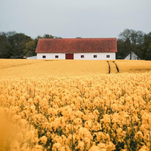 دانلود آهنگ نه تو جمعیت خوبم نه توی تنهایی