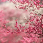 میپوشه صندل از من میگیره پول کلاس آنلاین میپوشه صندل از من میگیره پول کلاس آنلاین 